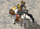 map012.gif